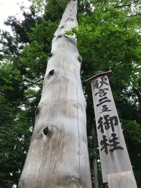 諏訪大社下社秋宮(長野県)