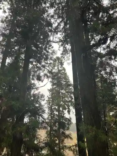 大宮温泉神社(栃木県)