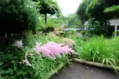 極楽寺（霊鷲山感應院極楽律寺）の自然