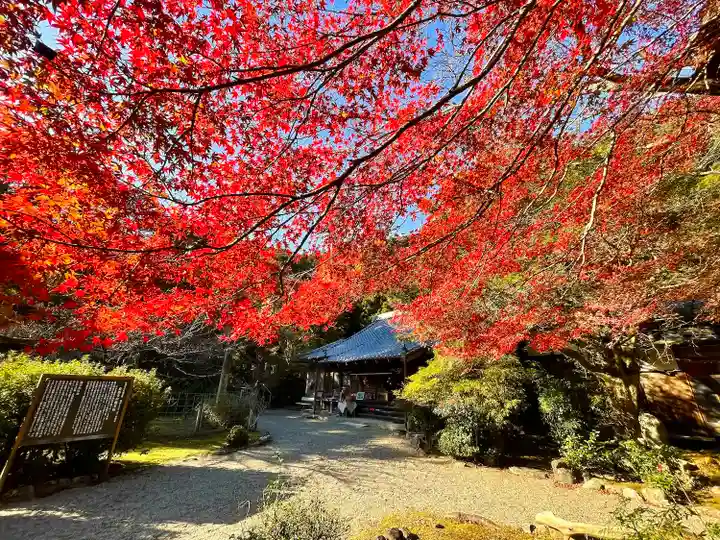 長徳寺(三重県)