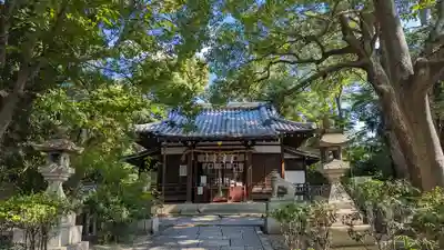 安居神社の本殿・本堂