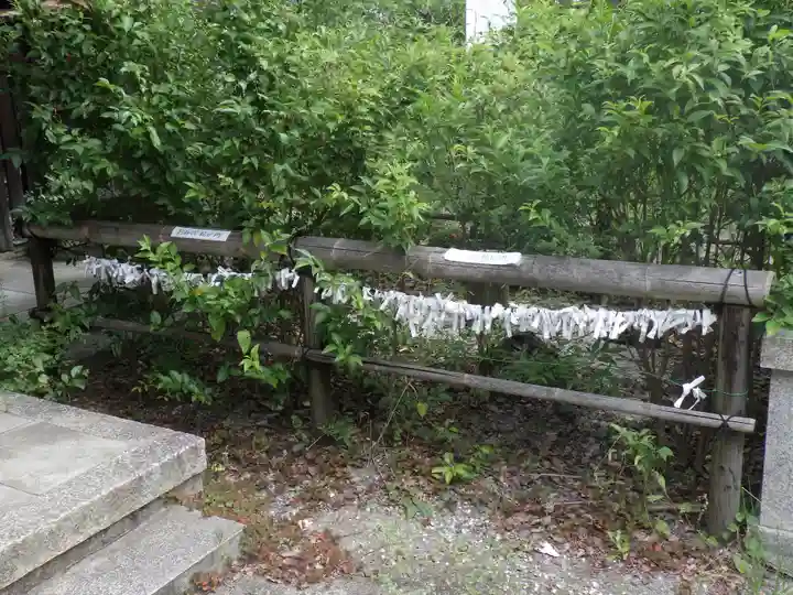 新熊野神社のおみくじ