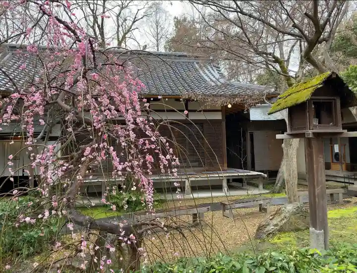 梨木神社(京都府)