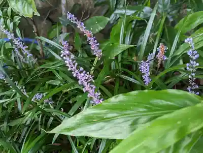 大乗寺(京都府)