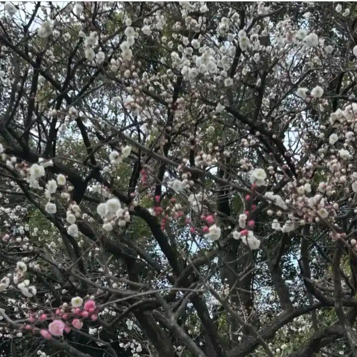 熱田神宮の{uncategorized: "未分類", other: "その他", undefined: "問題あり", building: "その他建物", grave: "お墓", sacred_gate: "鳥居", guardian: "狛犬", statue: "像", buddha: "仏像", history: "歴史", nature: "自然", garden: "庭園", animal: "動物", pagoda: "塔", temizu: "手水舎", mountain_gate: "山門・神門", sanctuary: "本殿・本堂", subordinate: "末社・摂社", art: "芸術", scenery: "景色", jizo: "地蔵", ema: "絵馬", goshuin: "御朱印", omikuji: "おみくじ", items: "授与品その他", amulet: "お守り", goshuincho: "御朱印帳", eats: "食事", festival: "お祭り", votive_dance: "神楽", shichigosan: "七五三参", wedding: "結婚式", experience: "体験その他", initially: "初詣", around: "周辺", anti_infection: "感染症対策"}