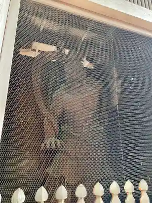 寳光寺　鹿野大佛(東京都)