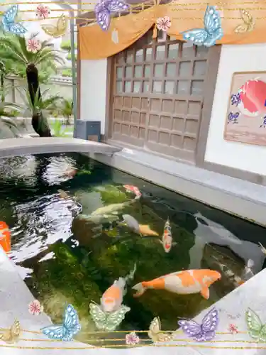 大聖観音寺（あびこ観音）の動物