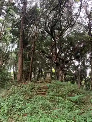 琴平社(千葉県)