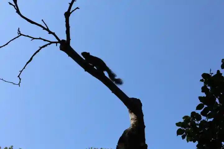 宝戒寺(神奈川県)