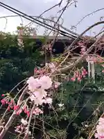 鳥飼八幡宮(福岡県)