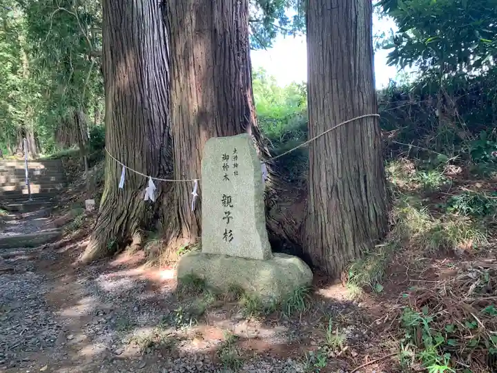 大井神社(太郎神社)(茨城県)