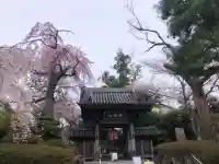 栽松院の{uncategorized: "未分類", other: "その他", undefined: "問題あり", building: "その他建物", grave: "お墓", sacred_gate: "鳥居", guardian: "狛犬", statue: "像", buddha: "仏像", history: "歴史", nature: "自然", garden: "庭園", animal: "動物", pagoda: "塔", temizu: "手水舎", mountain_gate: "山門・神門", sanctuary: "本殿・本堂", subordinate: "末社・摂社", art: "芸術", scenery: "景色", jizo: "地蔵", ema: "絵馬", goshuin: "御朱印", omikuji: "おみくじ", items: "授与品その他", amulet: "お守り", goshuincho: "御朱印帳", eats: "食事", festival: "お祭り", votive_dance: "神楽", shichigosan: "七五三参", wedding: "結婚式", experience: "体験その他", initially: "初詣", around: "周辺", anti_infection: "感染症対策"}