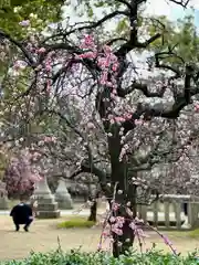 屯倉神社(大阪府)