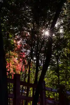 八大神社(京都府)