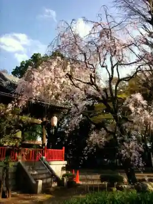 龍光寺(東京都)