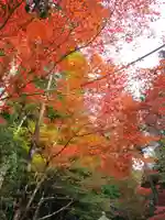 延暦寺横川中堂(滋賀県)