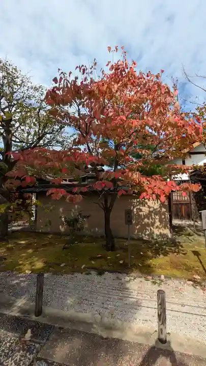 大仙院(京都府)