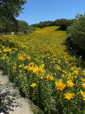 秋葉總本殿可睡斎(静岡県)
