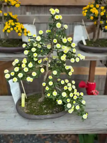 諏訪大社下社秋宮(長野県)