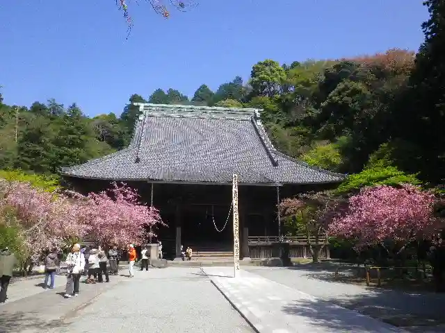 妙本寺の本殿・本堂