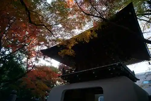 大正寺の山門・神門
