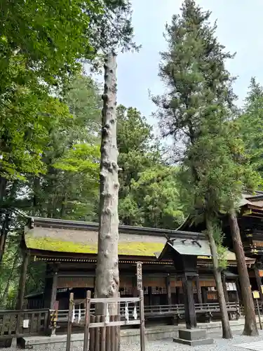 諏訪大社下社春宮(長野県)