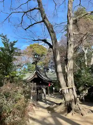 本太氷川神社(埼玉県)