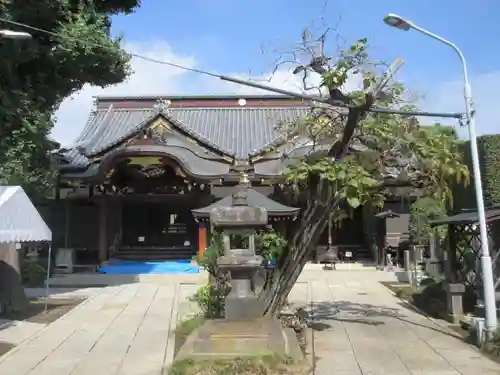 大圓寺(東京都)