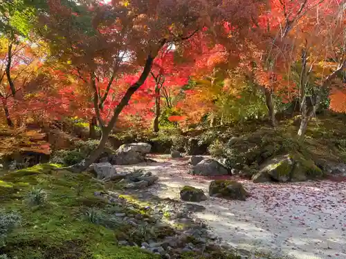 宝筐院(京都府)