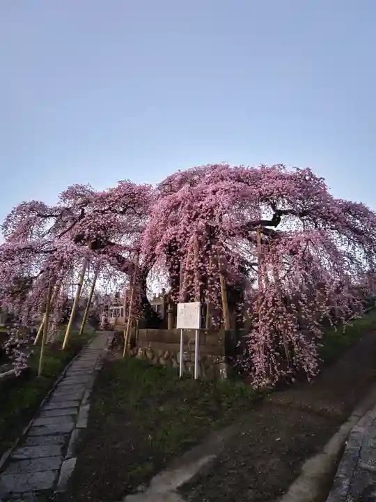 日輪寺(福島県)