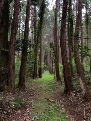 姫宮神社(千葉県)
