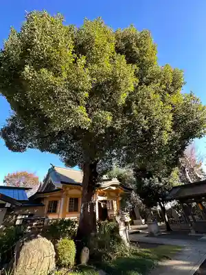 若宮神社の自然