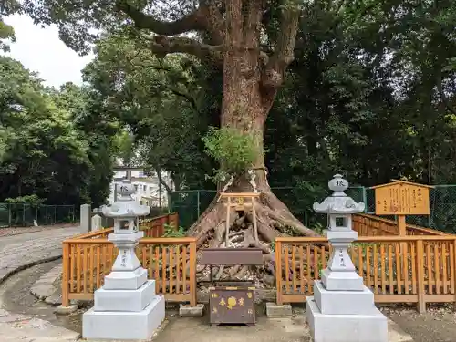 和泉國一之宮　大鳥大社(大阪府)