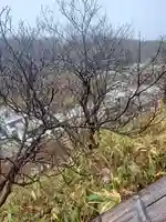 藤乃稲荷神社の自然