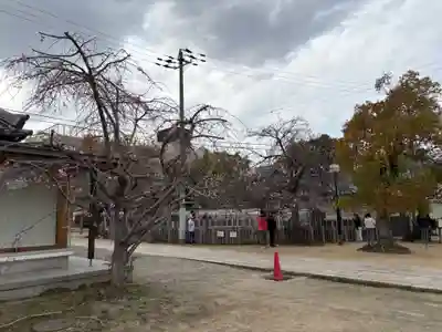 四天王寺(大阪府)