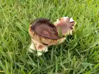 八幡神社(兜山古墳)(福井県)