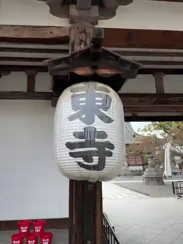 東寺（教王護国寺）(京都府)