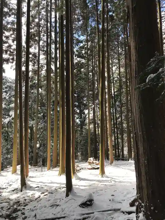 鞍馬寺(京都府)