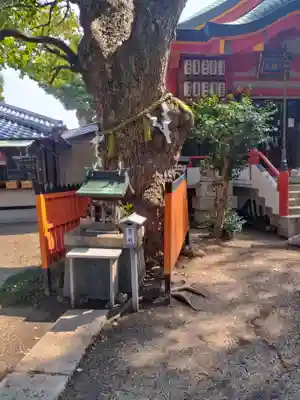 我堂八幡宮(大阪府)