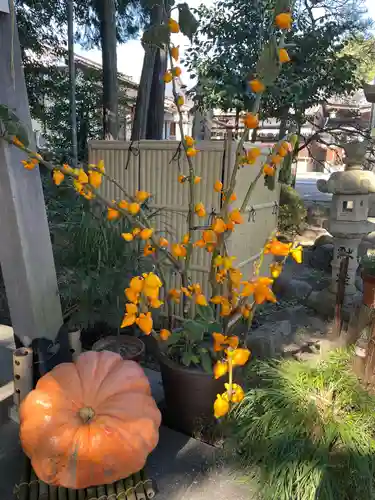 東海市熊野神社の庭園