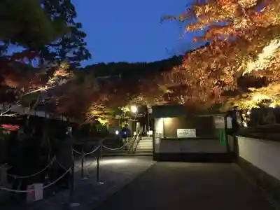 禅林寺（永観堂）(京都府)