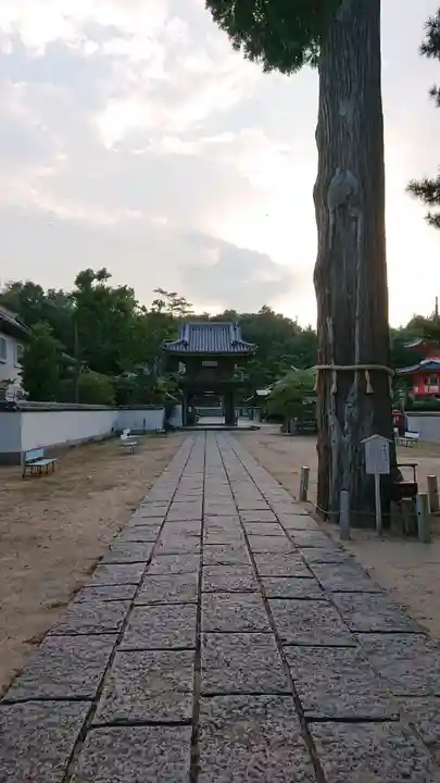 與田寺のその他建物