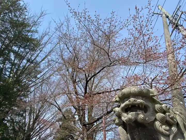 神炊館神社 ⁂奥州須賀川総鎮守⁂の狛犬