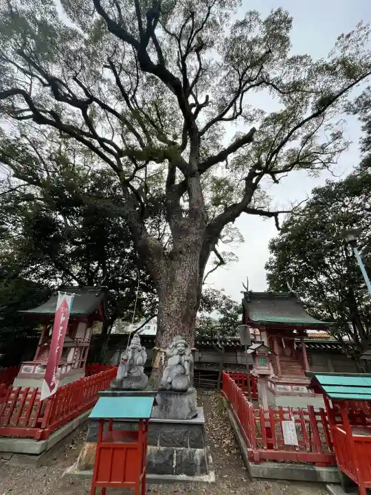 長田神社(兵庫県)