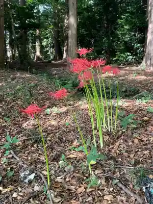 乃木神社(栃木県)