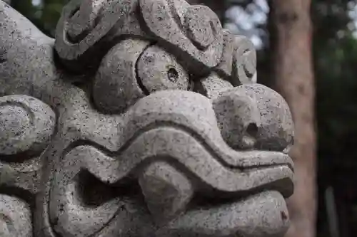 琴似神社の狛犬