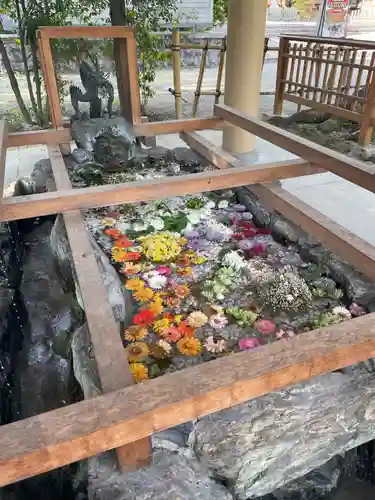 和泉國一之宮　大鳥大社(大阪府)