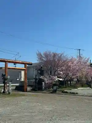 空知神社の{uncategorized: "未分類", other: "その他", undefined: "問題あり", building: "その他建物", grave: "お墓", sacred_gate: "鳥居", guardian: "狛犬", statue: "像", buddha: "仏像", history: "歴史", nature: "自然", garden: "庭園", animal: "動物", pagoda: "塔", temizu: "手水舎", mountain_gate: "山門・神門", sanctuary: "本殿・本堂", subordinate: "末社・摂社", art: "芸術", scenery: "景色", jizo: "地蔵", ema: "絵馬", goshuin: "御朱印", omikuji: "おみくじ", items: "授与品その他", amulet: "お守り", goshuincho: "御朱印帳", eats: "食事", festival: "お祭り", votive_dance: "神楽", shichigosan: "七五三参", wedding: "結婚式", experience: "体験その他", initially: "初詣", around: "周辺", anti_infection: "感染症対策"}