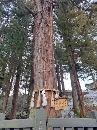 諏訪大社下社春宮(長野県)