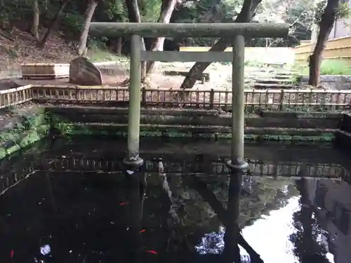 大洗磯前神社の鳥居